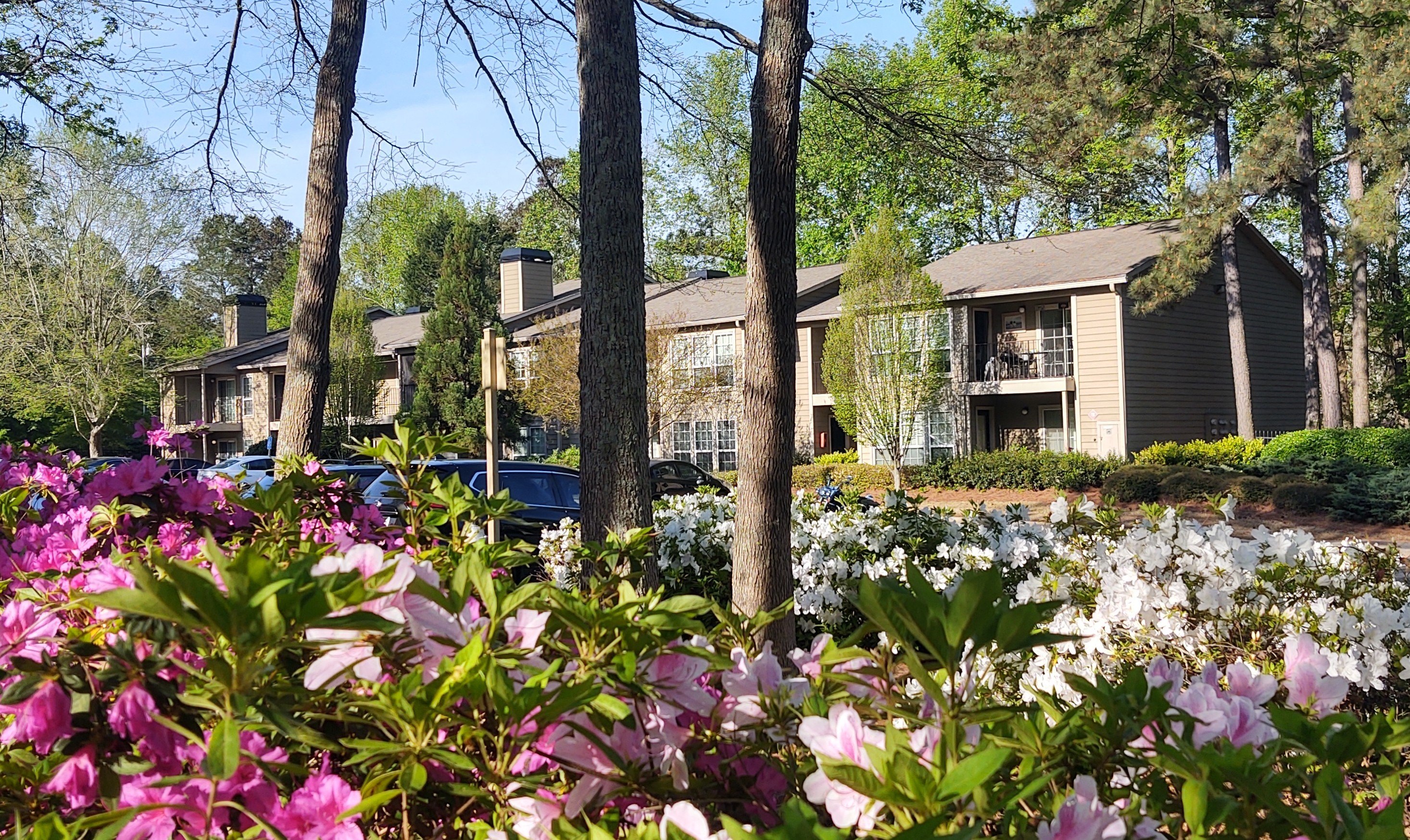 Walton Crossing Apartments in Austell, GA